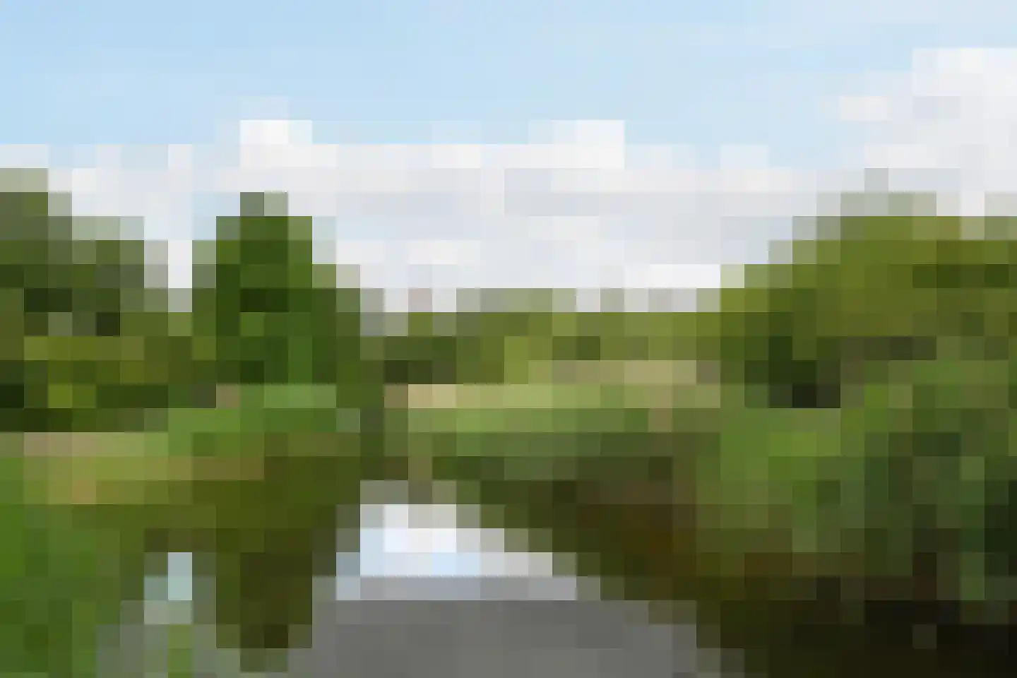 Rijndijkstraat 97 Leiden thumbnail 21