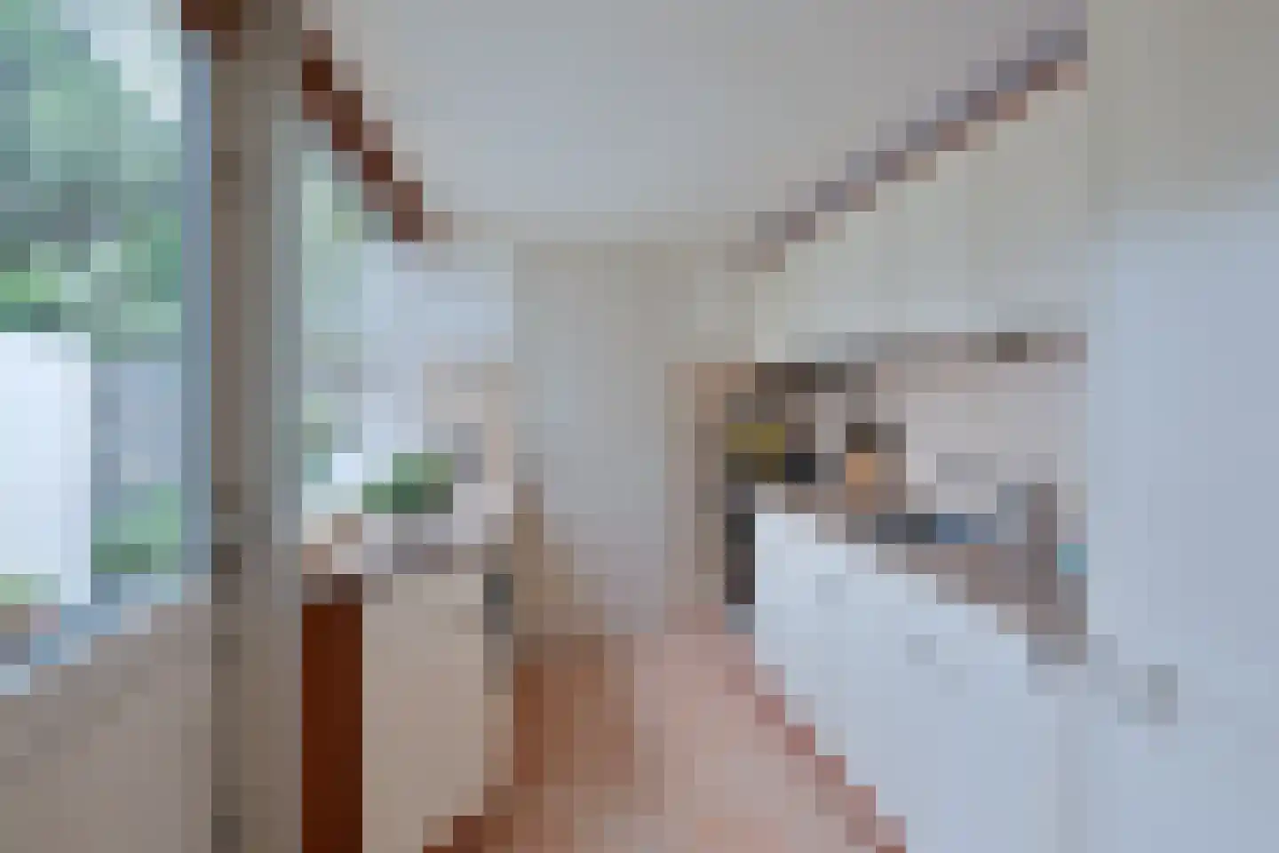 Rijndijkstraat 97 Leiden thumbnail 5