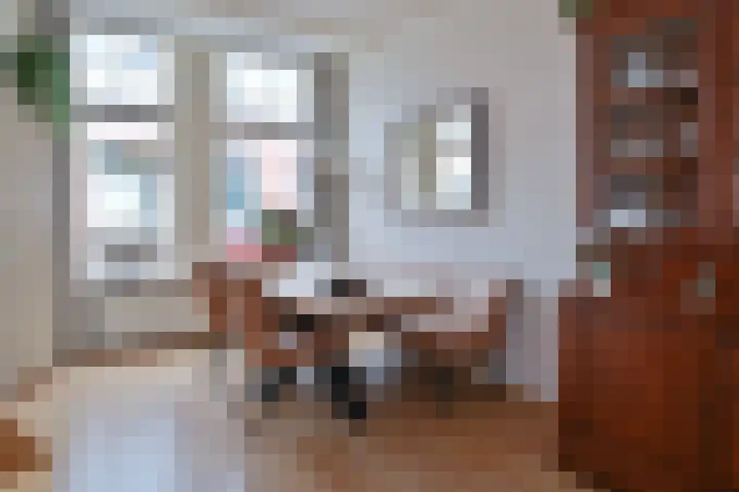 Rijndijkstraat 97 Leiden thumbnail 8