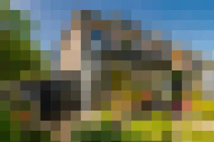 Rijnegomlaan 61 Aerdenhout thumbnail 20