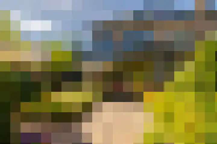 Rijnegomlaan 61 Aerdenhout thumbnail 21