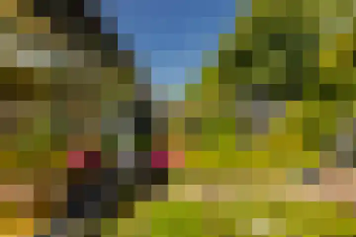 Rijnegomlaan 61 Aerdenhout thumbnail 22