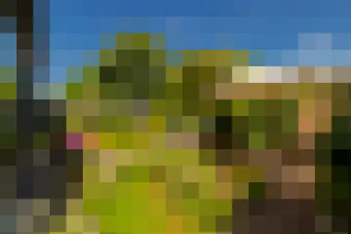 Rijnegomlaan 61 Aerdenhout thumbnail 23