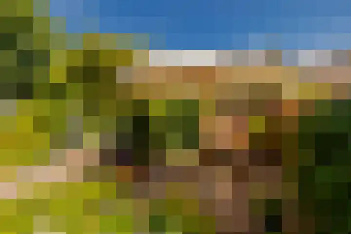 Rijnegomlaan 61 Aerdenhout thumbnail 24