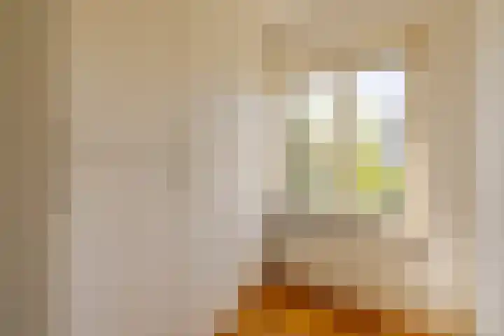 Rijnegomlaan 61 Aerdenhout thumbnail 33