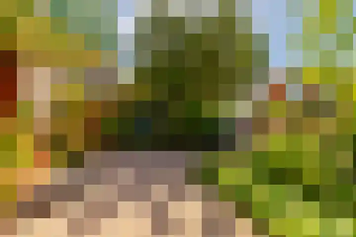 Rijnegomlaan 61 Aerdenhout thumbnail 55