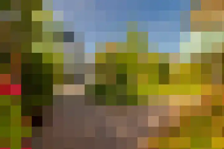 Rijnegomlaan 61 Aerdenhout thumbnail 56