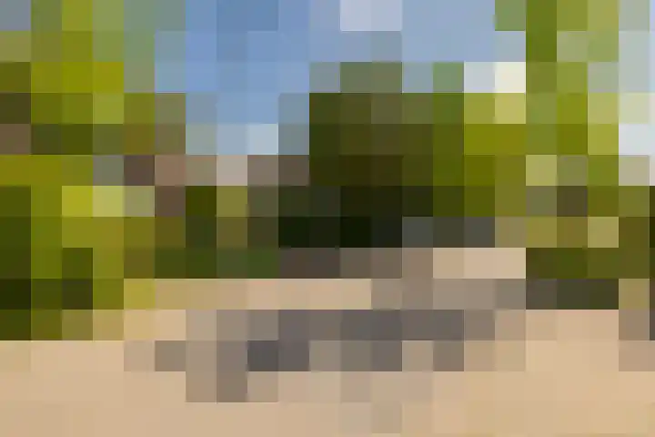 Rijnegomlaan 61 Aerdenhout thumbnail 58