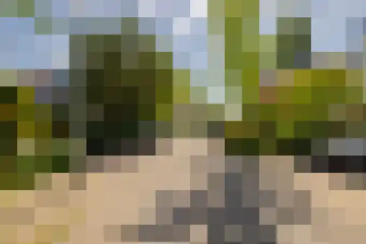 Rijnegomlaan 61 Aerdenhout thumbnail 59