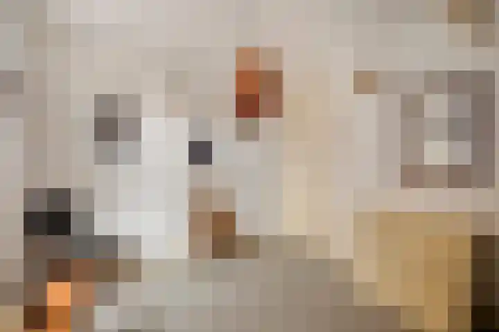 Rijnegommerstraat 14 Zoeterwoude thumbnail 16