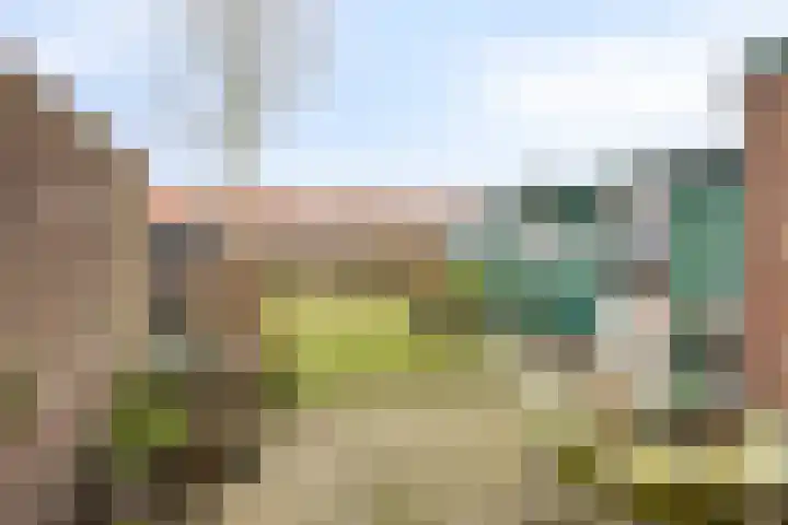 Rijnegommerstraat 14 Zoeterwoude thumbnail 21