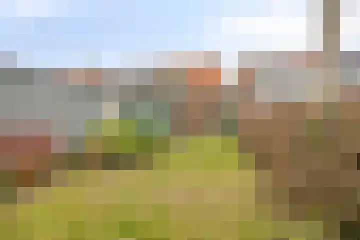 Rijnegommerstraat 14 Zoeterwoude thumbnail 22