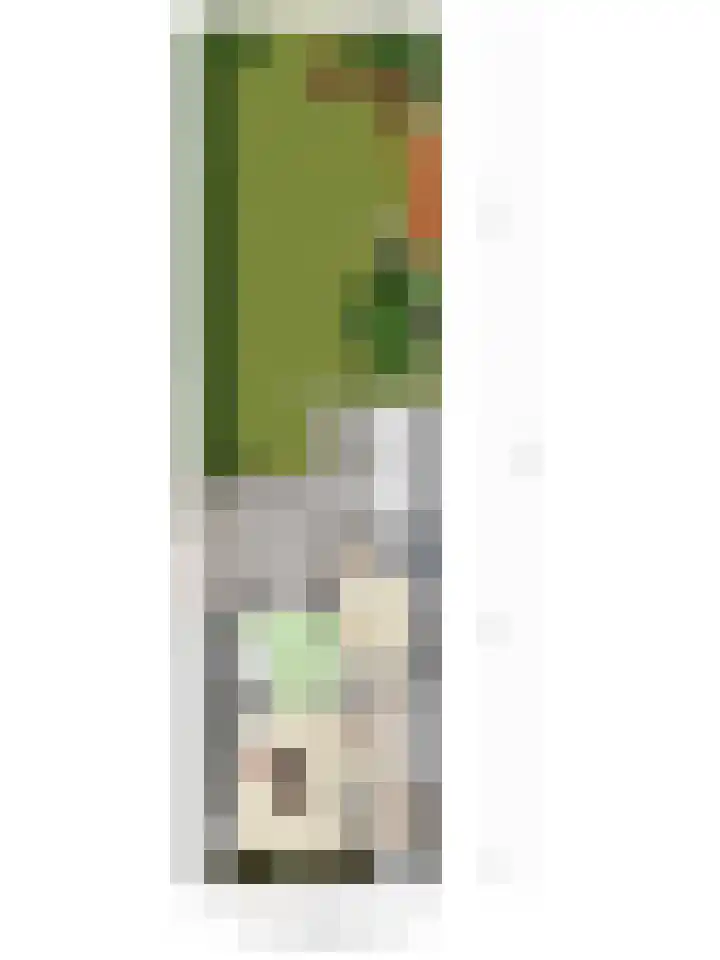 Rijnegommerstraat 14 Zoeterwoude thumbnail 25