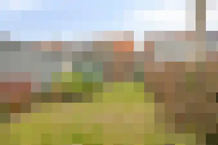 Rijnegommerstraat 14 Zoeterwoude thumbnail 4