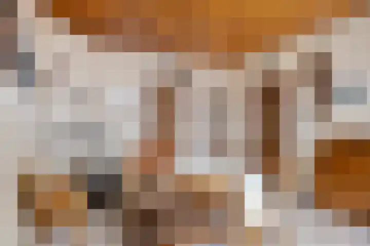Rijnegommerstraat 14 Zoeterwoude thumbnail 7