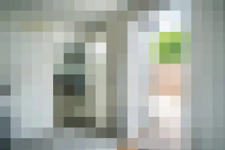 Rijnegommerstraat 16 Zoeterwoude thumbnail 14
