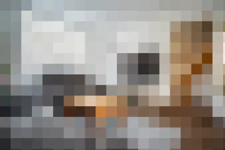 Rijnegommerstraat 16 Zoeterwoude thumbnail 30