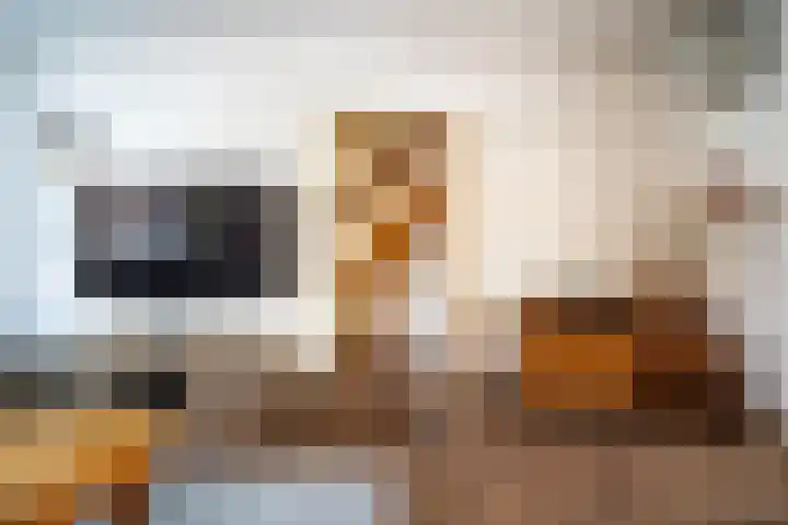 Rijnegommerstraat 16 Zoeterwoude thumbnail 33