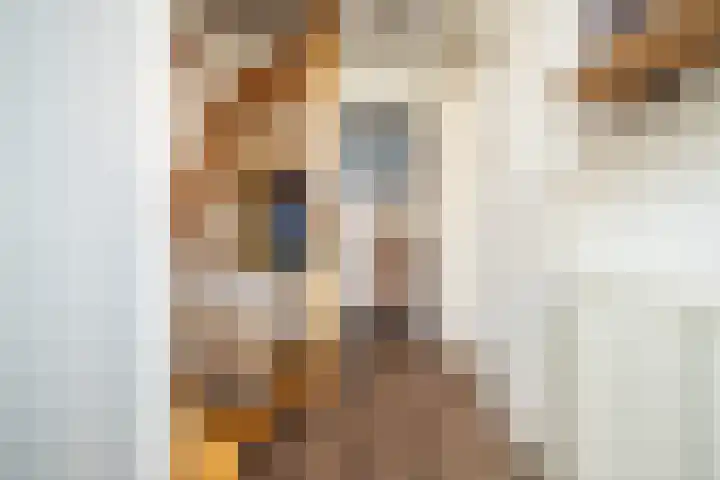 Rijnegommerstraat 16 Zoeterwoude thumbnail 35