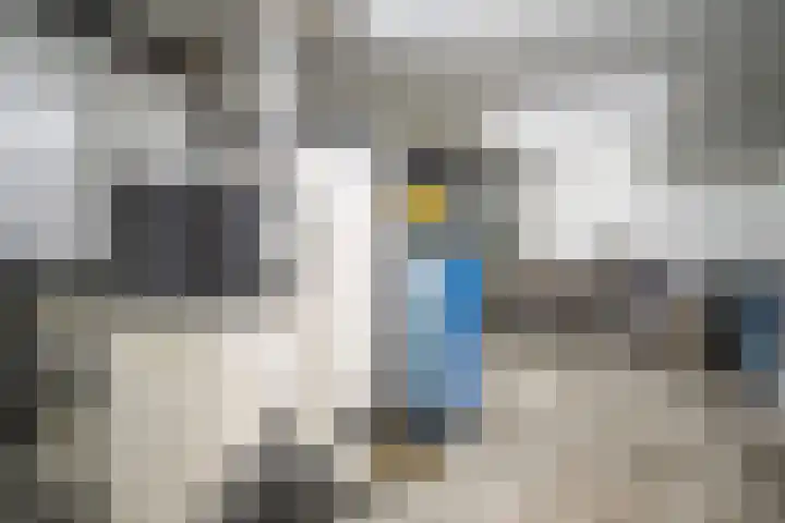 Rijnegommerstraat 16 Zoeterwoude thumbnail 4