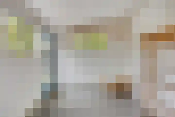 Rijnegommerstraat 19 Zoeterwoude thumbnail 17
