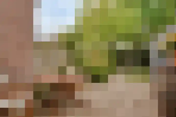Rijnegommerstraat 19 Zoeterwoude thumbnail 32