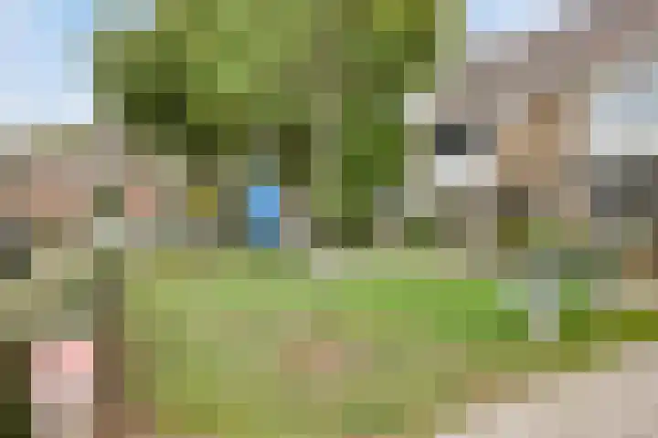 Rijnegommerstraat 19 Zoeterwoude thumbnail 38