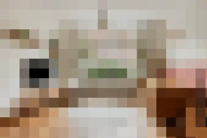 Rijnegommerstraat 19 Zoeterwoude thumbnail 6