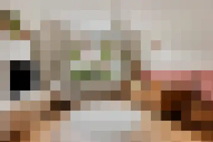 Rijnegommerstraat 19 Zoeterwoude thumbnail 7