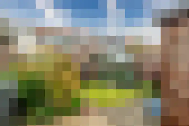 Rijnegommerstraat 20 Zoeterwoude thumbnail 23