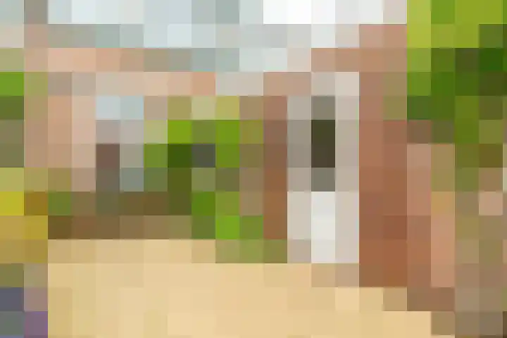 Rijnegommerstraat 20 Zoeterwoude thumbnail 25