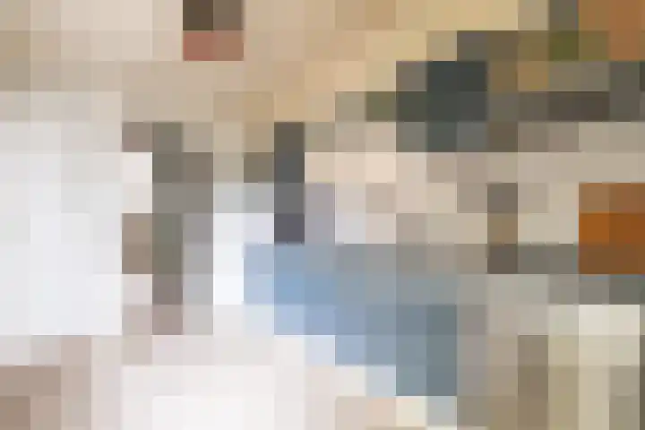 Rijnegommerstraat 20 Zoeterwoude thumbnail 36