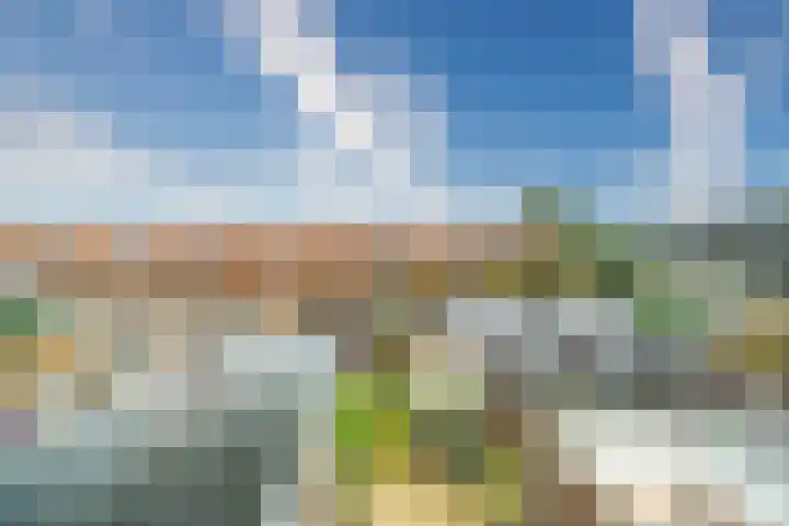 Rijnegommerstraat 20 Zoeterwoude thumbnail 43
