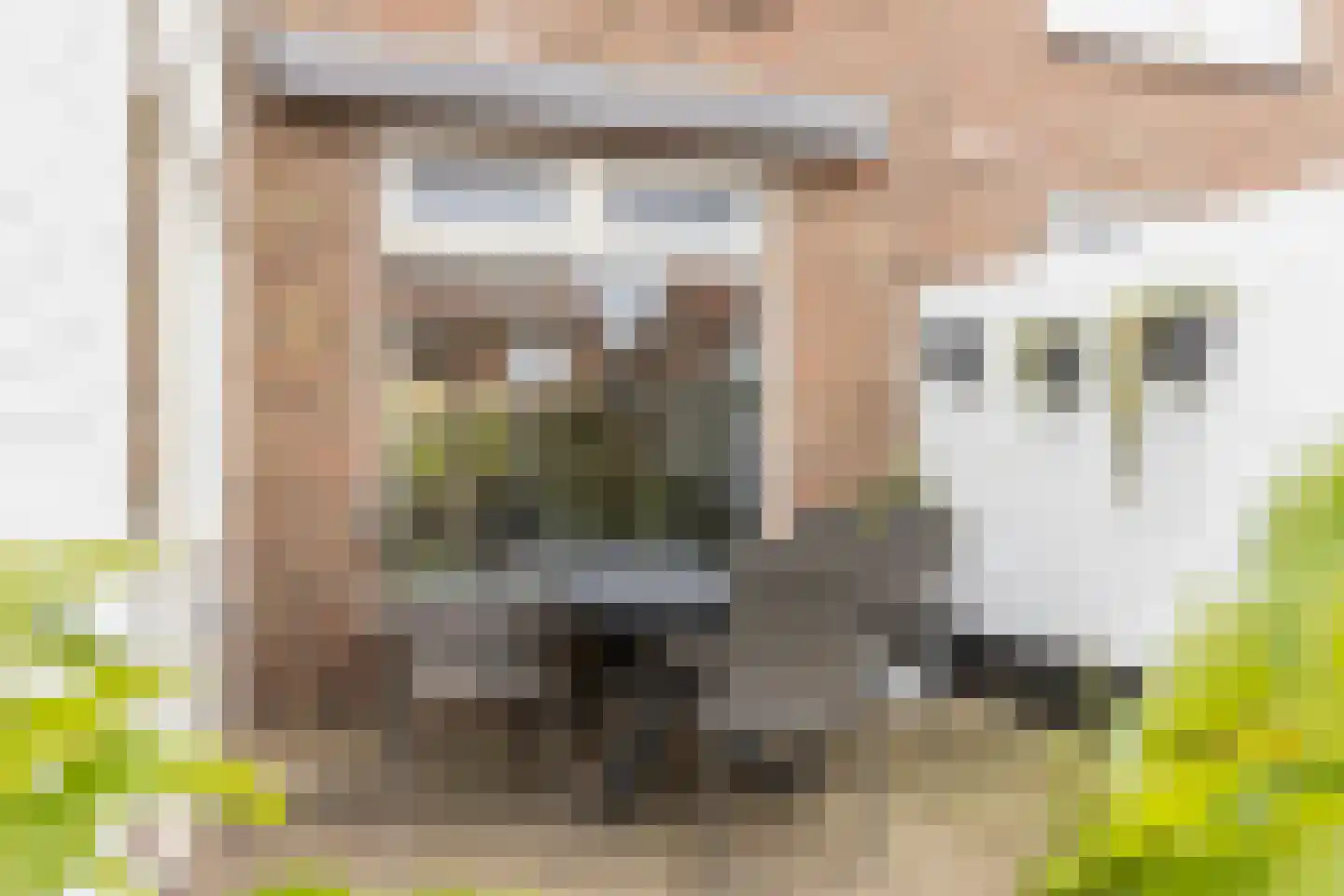 Rijnenborghstraat 26 Nieuwegein thumbnail 28