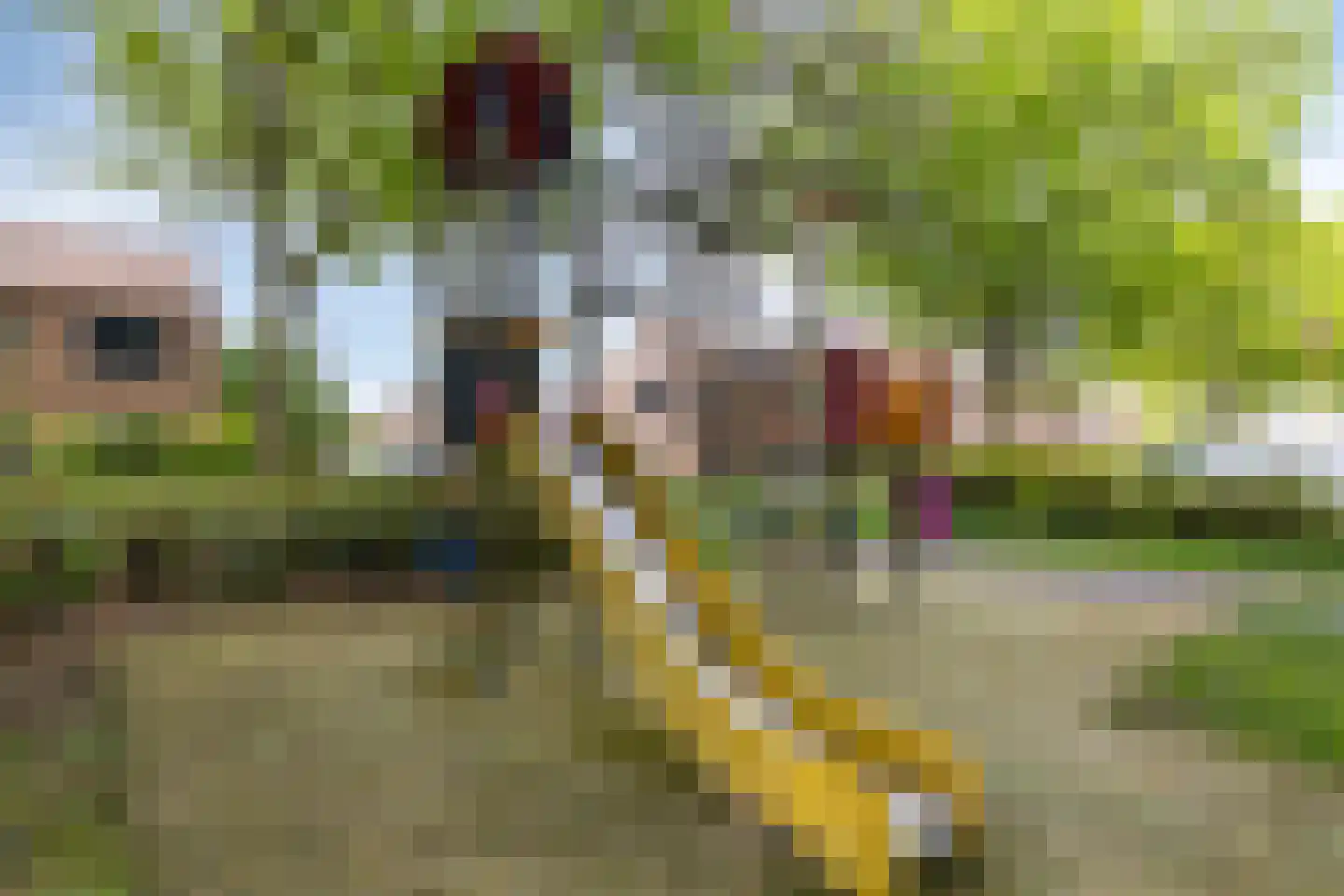 Rijnenborghstraat 26 Nieuwegein thumbnail 37