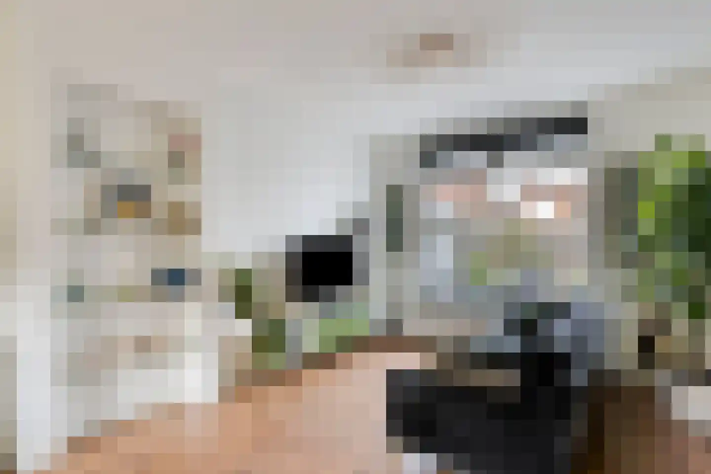 Rijnenborghstraat 26 Nieuwegein thumbnail 6