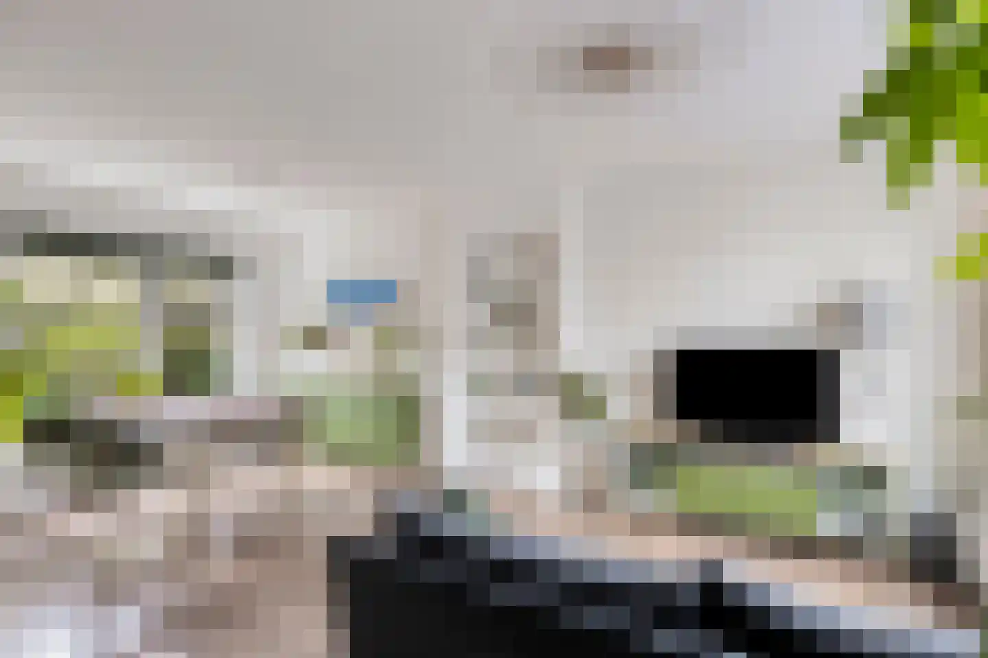 Rijnenborghstraat 26 Nieuwegein thumbnail 9