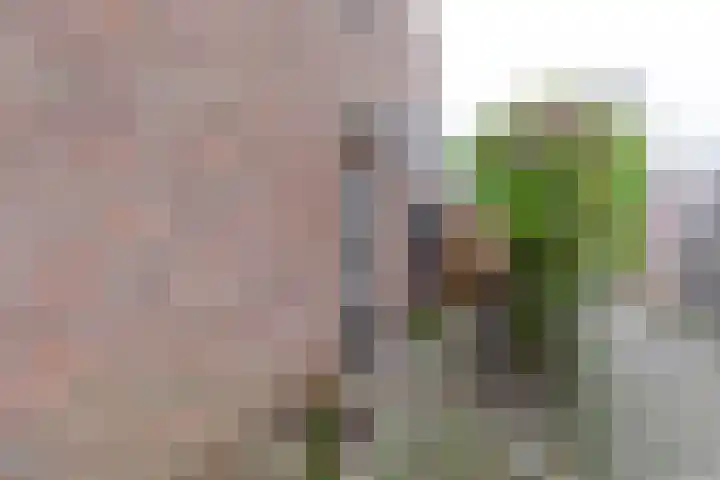 Rijnenborghstraat 32 Nieuwegein thumbnail 28