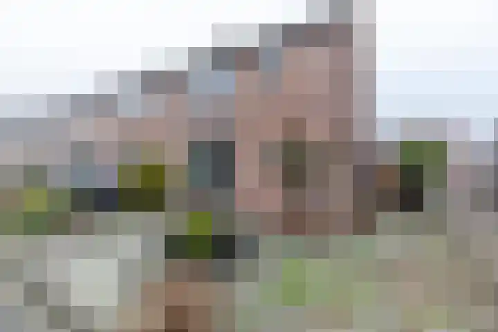 Rijnenborghstraat 32 Nieuwegein thumbnail 29