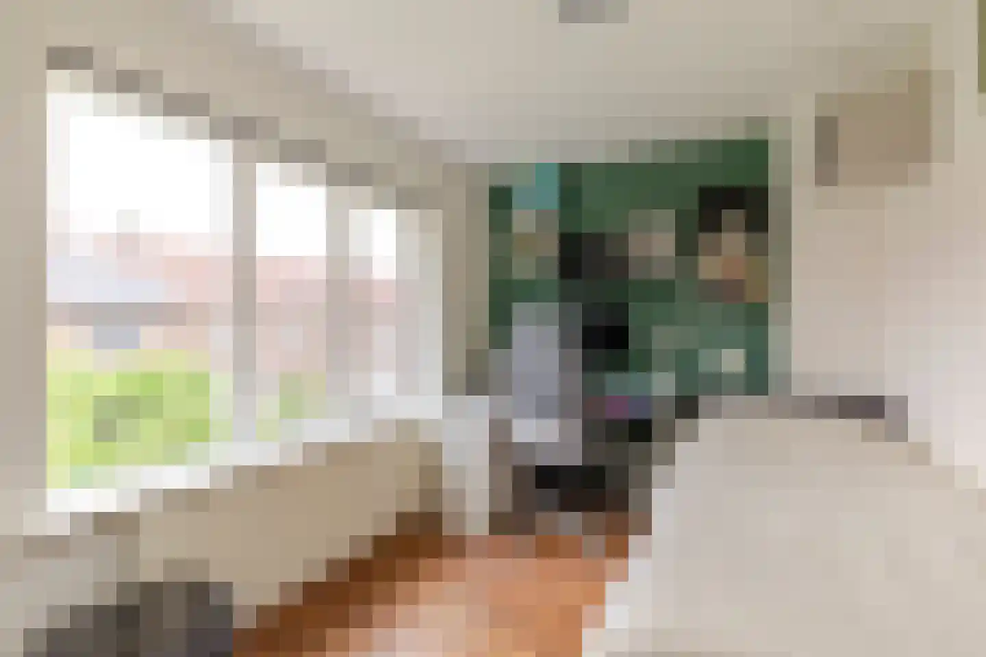 Rijnenborghstraat 6 Nieuwegein thumbnail 15