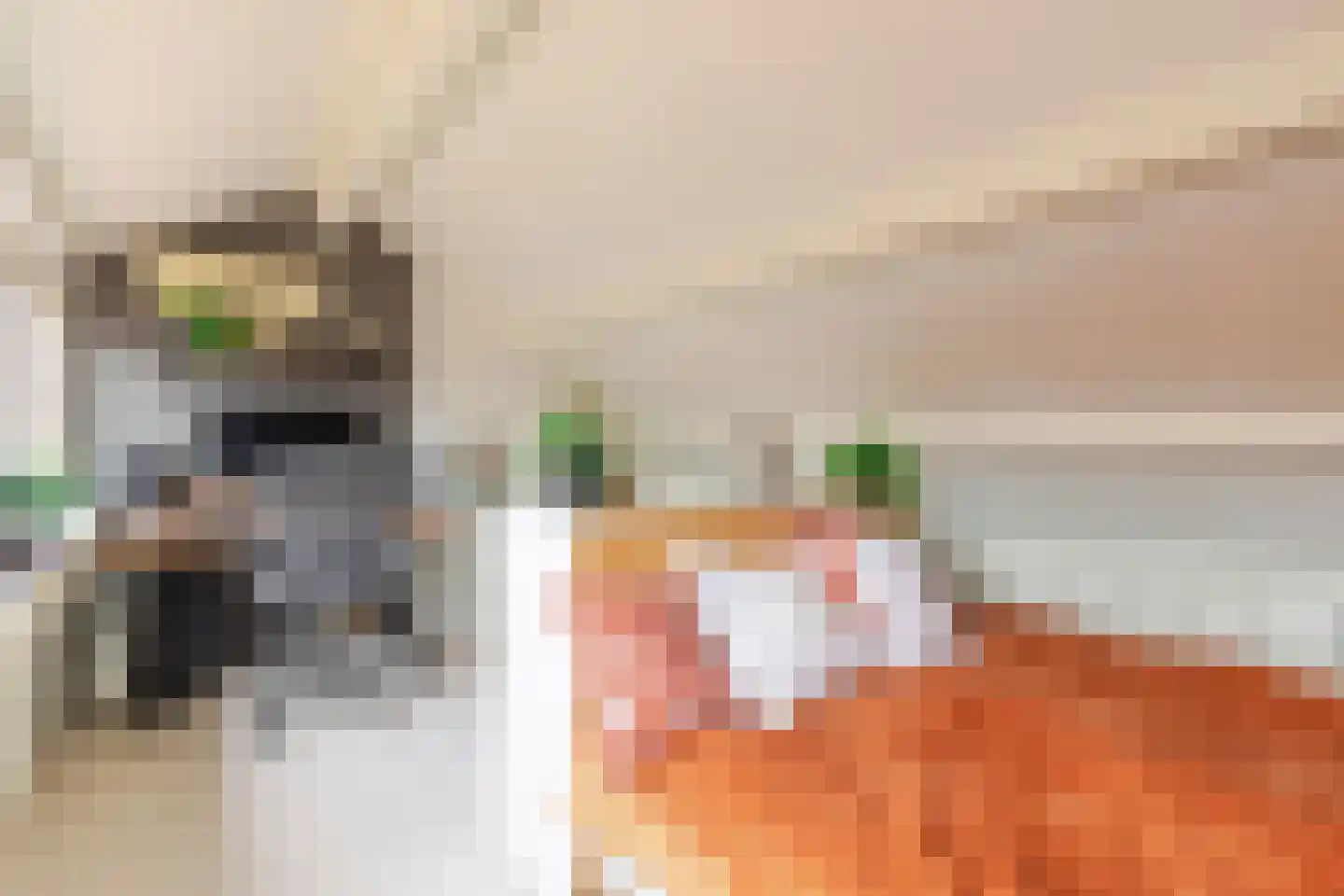 Rijnenborghstraat 6 Nieuwegein thumbnail 20