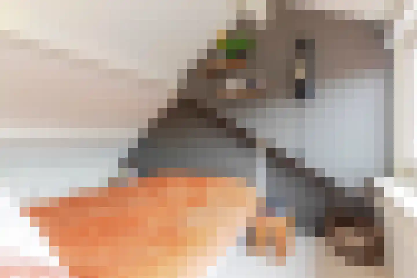 Rijnenborghstraat 6 Nieuwegein thumbnail 21