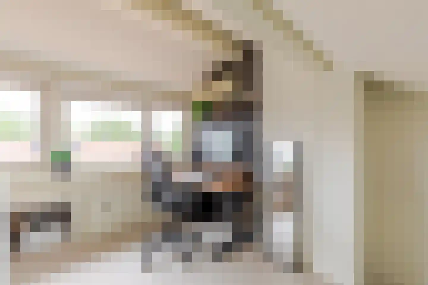 Rijnenborghstraat 6 Nieuwegein thumbnail 23