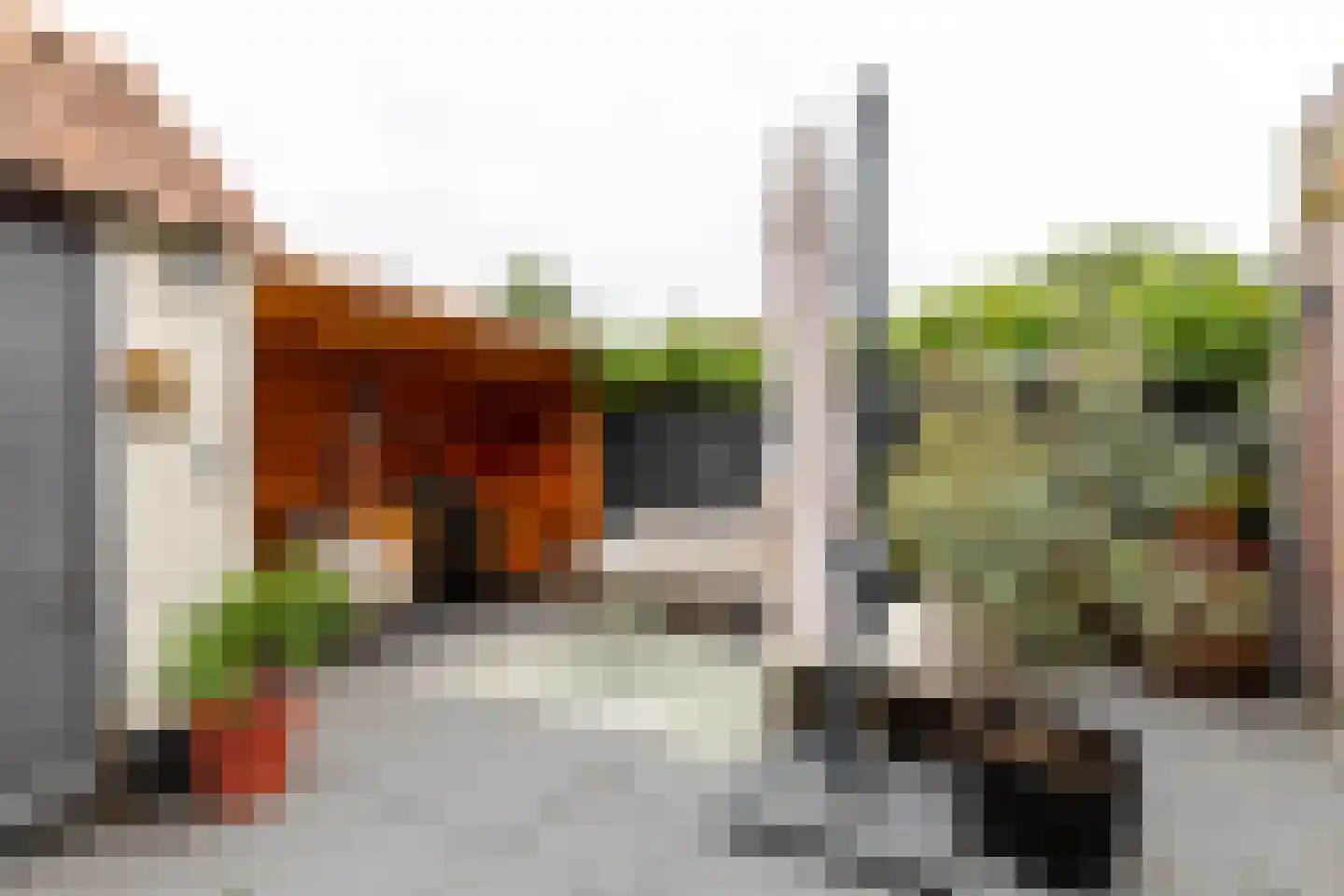 Rijnenborghstraat 6 Nieuwegein thumbnail 25
