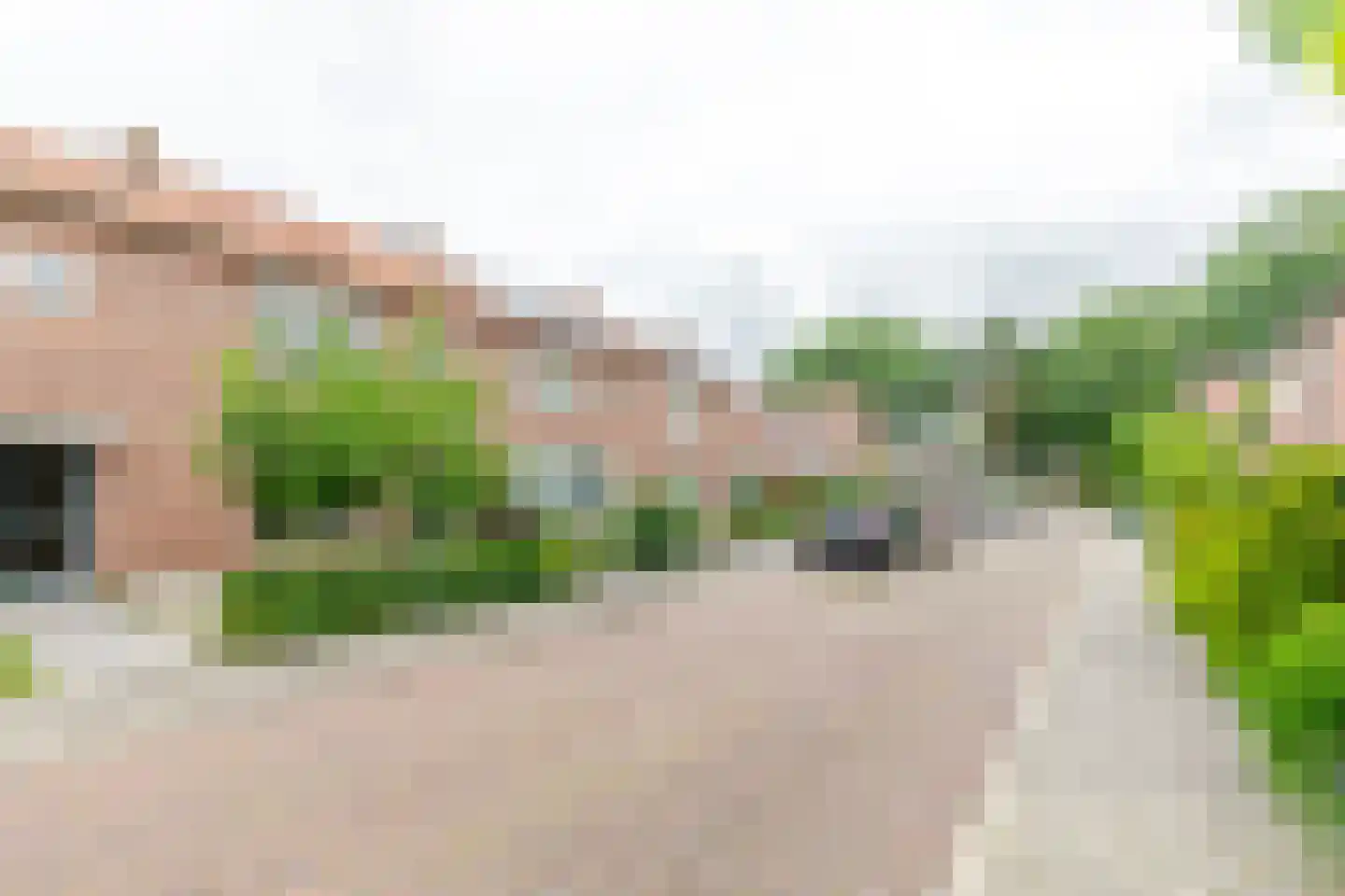 Rijnenborghstraat 6 Nieuwegein thumbnail 28