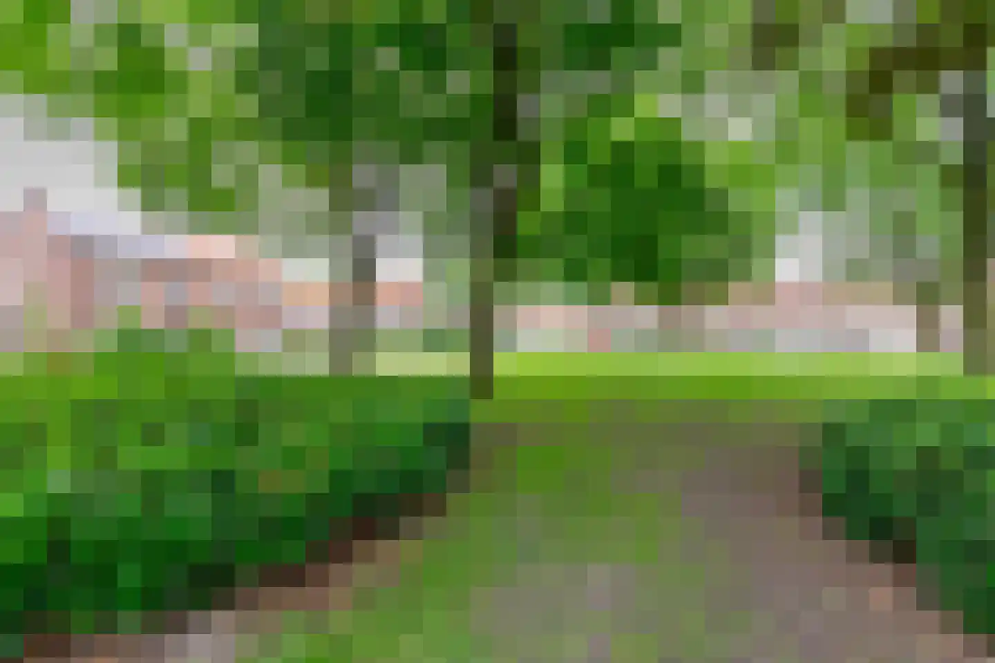Rijnenborghstraat 6 Nieuwegein thumbnail 33
