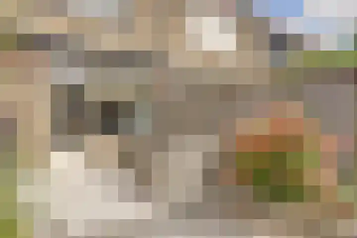Rijnenburg 15 Gouda thumbnail 25