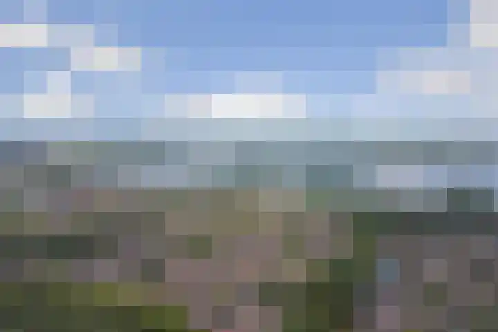 Rijnenburg 15 Gouda thumbnail 29