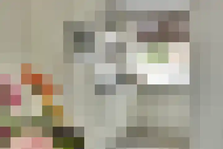 Rijnenburg 15 Gouda thumbnail 4