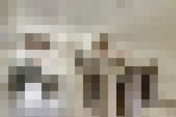 Rijnenburg 15 Gouda thumbnail 6